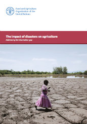 The impact of disasters on agriculture: addressing the information gap